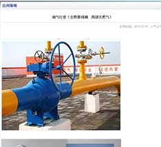 油气行业（全焊接球阀--西部天然气）